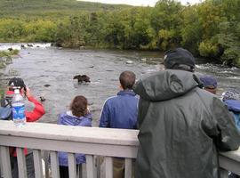 Expertos piden controlar el turismo osero para no dañar la especie