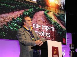 Cafento alzanzará en 2017 una facturación de 80 M€
