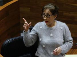 El gobierno de Asturias trabaja para atajar las emisiones de las baterías de Avilés y de benceno en Trubia