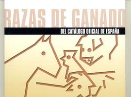 La vaca roxa en el libro “Razas de Ganado del Catálogo Oficial de España” 