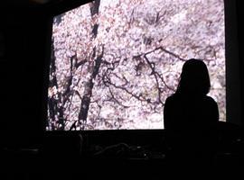 El clásico japonés Bajo los cerezos en flor de Masahiro Shinoda llega a Laboral Cineteca