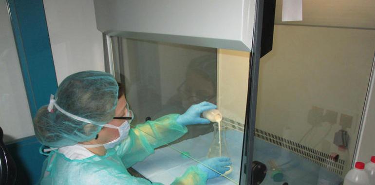 Sespa y UniOvi buscan científicos para el IISPA
