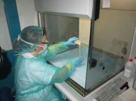 Sespa y UniOvi buscan científicos para el IISPA