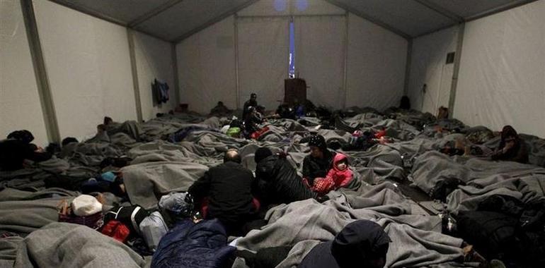 Colunga recoge material higiénico y sanitario para los refugiados desplazados 