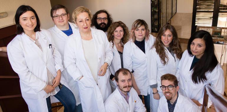 Investigadores de #UniOvi logran mejorar la resistencia de los bosques de pinos a los rayos ultravioleta
