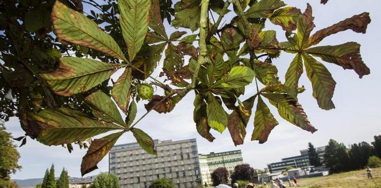 El Parque del Truébano acogerá el sábado la presentación de las conclusiones del Plan HUCA