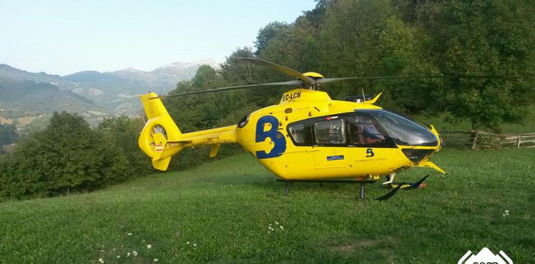 Herido grave un trabajador al que le cayó un árbol encima en Quirós