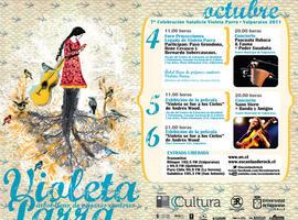 Sigue online conciertos en homenaje a Violeta Parra
