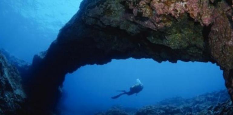 Isla de La Gomera, Top destino de buceo