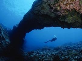 Isla de La Gomera, \Top\ destino de buceo