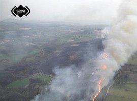 La lluvia alivia a Asturias de incendios forestales 