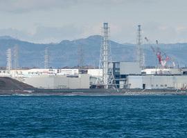 Greenpeace denuncia presiones del Gobierno japonés a la población para que vuelva a Fukushima