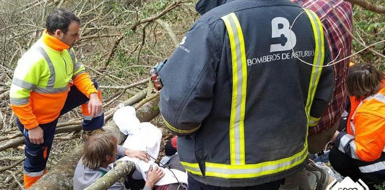 Gravemente herido un trabajador de la madera en Cangas del Narcea