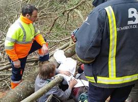Gravemente herido un trabajador de la madera en Cangas del Narcea
