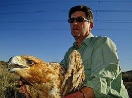 Rescatan un águila imperial malherida en Muel (Zaragoza)
