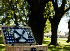 Sidra El Gaitero promociona sus latas de sidra para los almuerzos primaverales al aire libre