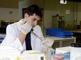 IMOMA lidera desubrimiento de nuevos genes para frenar tumores