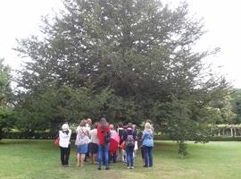 Lalumnáu del C.P. Villalegre participa nun taller de conocimientu del mediu n´asturianu 