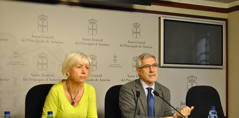 IU defenderá a la Academia de la Llingua como una entidad pública del Principado