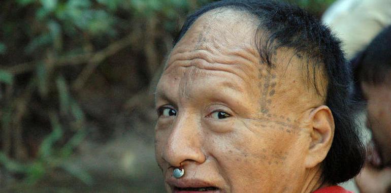 Survival apremia al Congreso de Perú a rechazar la “Carretera de la muerte”