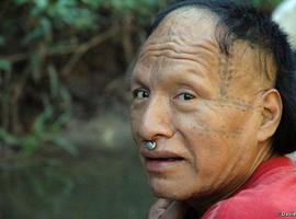 Survival apremia al Congreso de Perú a rechazar la “Carretera de la muerte”