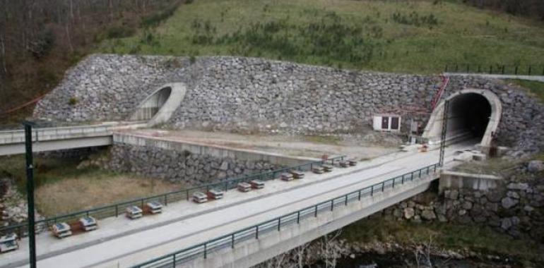 Fomento garantiza la Alta Velocidad hasta Asturias en ancho internacional