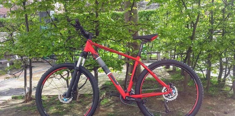Primera bicicletada medioambiental solidaria por los parques de Gijón 
