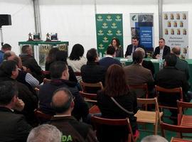 La temporada de salmón abre esperando similares resultados al 16