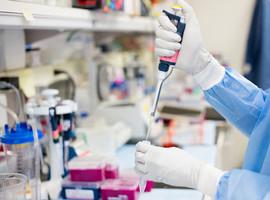 Nanopartículas biodegradables para combatir el cáncer
