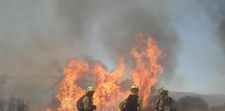 La seca y el viento activan 20 incendios forestales en Asturias