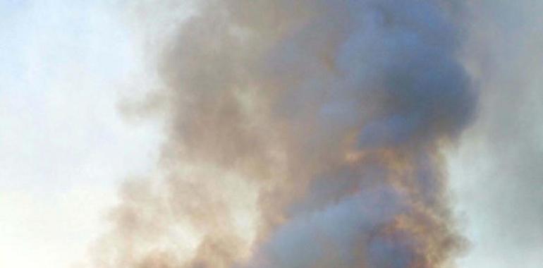 El jueves arrancó con 14 incendios forestales en Asturias
