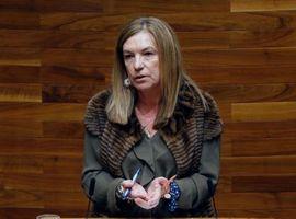 Campillo alerta del aislamiento ferroviario de Asturias por el PP