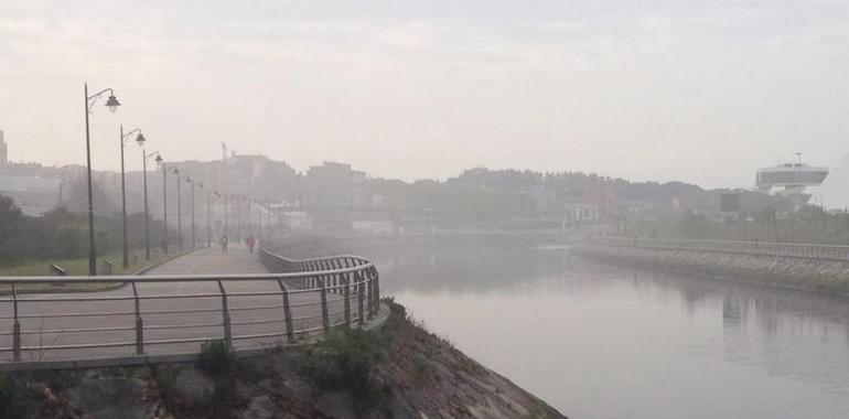 Ecologistas denuncian contaminación por gas en Avilés
