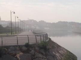 Ecologistas denuncian contaminación por gas en Avilés
