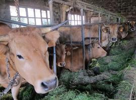 El Ministerio de Agricultura y Pesca prorroga el plazo para presentar la solicitud de ayudas de la PAC    