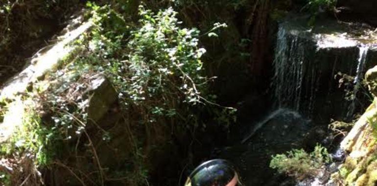 Rescatan un ganadero herido al despeñarse en Ibias