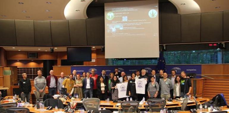 Podemos reclama “afrontar el debate en torno al cannabis y su regulación integral”