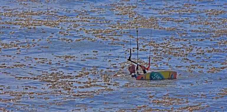 Los análisis de las muestras de la playa de El Espartal descartan la presencia de hidrocarburos