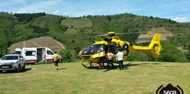 Evacuado a Cangas un joven herido al caerle un árbol encima