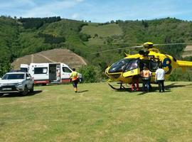 Evacuado a Cangas un joven herido al caerle un árbol encima