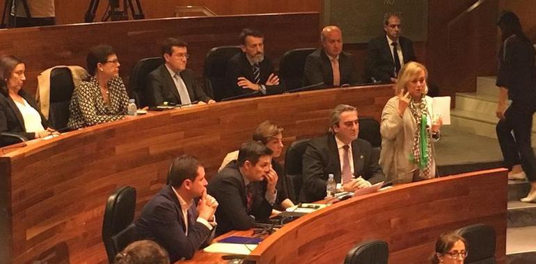 El PP pide elevar el salario social en Asturias y limitarlo a 2 años