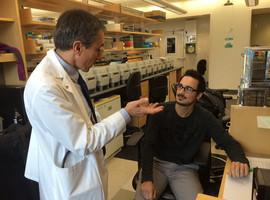 La predisposición a la glucosa alta aumenta la probabilidad de enfermedad coronaria