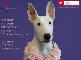 Alianza Francesa de Gijón y Cámara club abren el concurso 2017 de foto