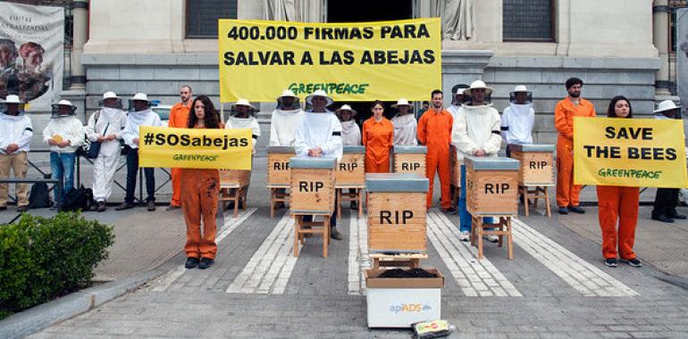 400.000 firmas exigen al Ministerio medidas para salvar las abejas