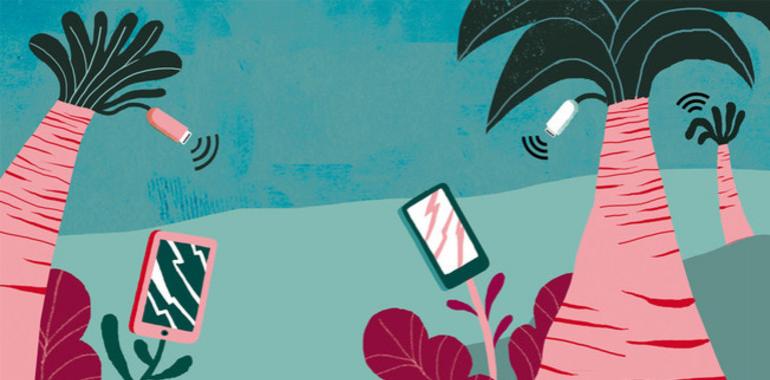 Las plantas se comunican y actúan desde su mundo secreto