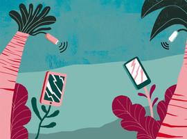 Las plantas se comunican y actúan desde su mundo secreto