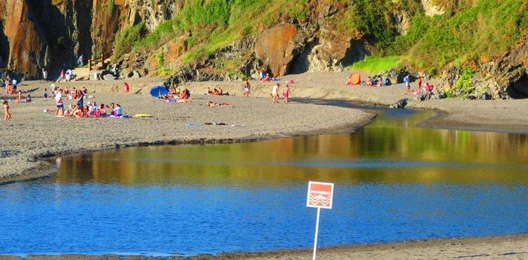 Todos unidos contra las plantas invasoras en la playa de Frexulfe