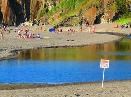 Todos unidos contra las plantas invasoras en la playa de Frexulfe