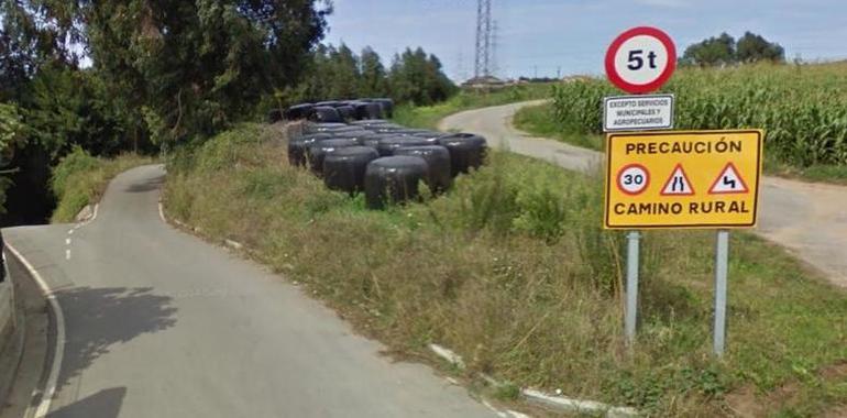 Avilés limpiará 138 caminos del municipio