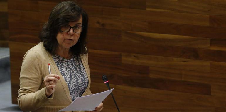 La producción de la denominación de origen Sidra de Asturias crece un 247%